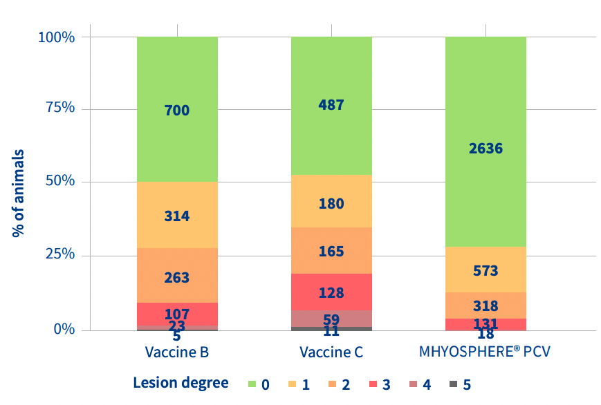 Distribution of the animals by lesion grade and vaccine